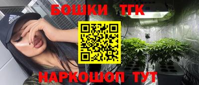 СК Дубна