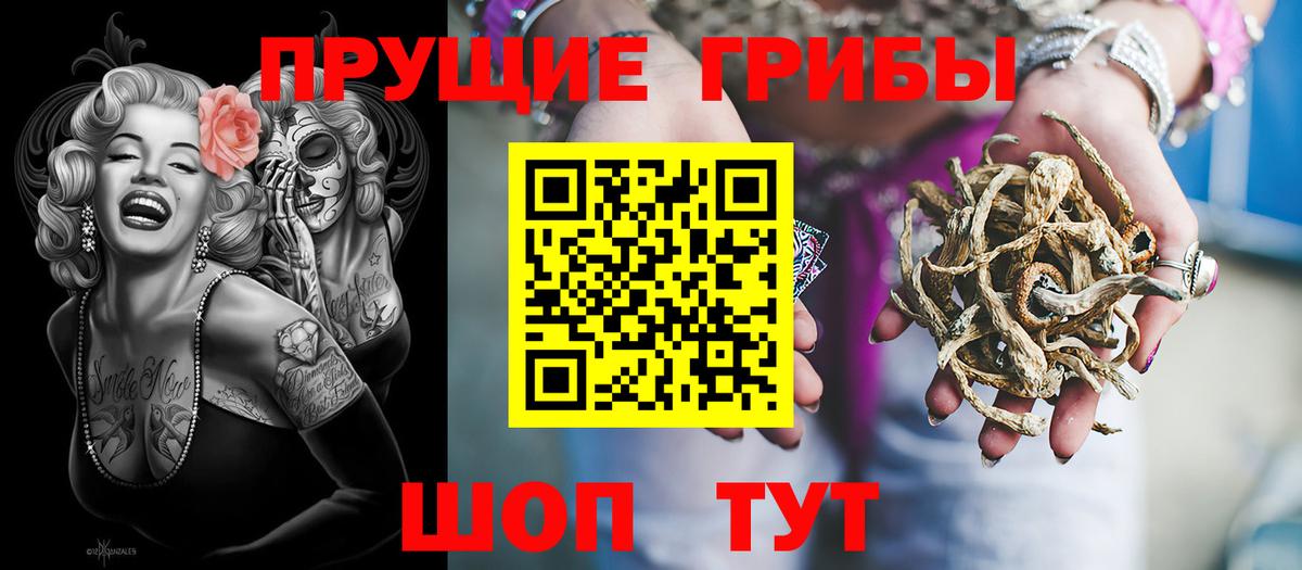 Москва  хочу наркоту  Псилоцибиновые грибы мицелий  Вход с VPN  Галлюциногенные грибы ЛСД 